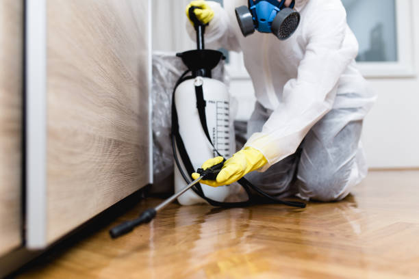 Professional Pest Control in Cataula, GA