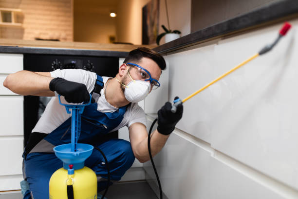 Best Termite Control Services  in Cataula, GA