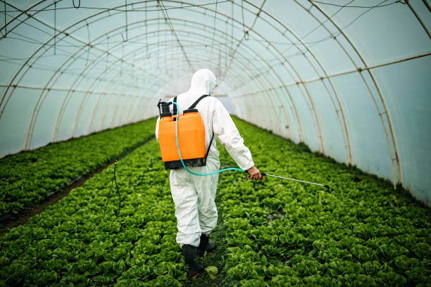 Best Commercial Pest Control Services  in Cataula, GA
