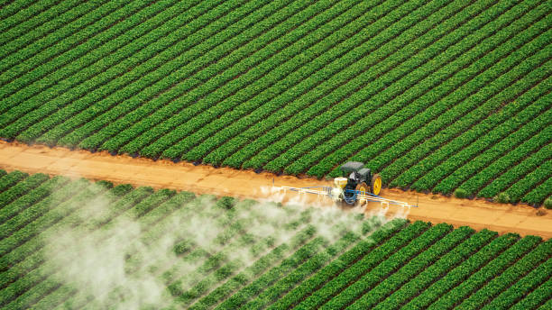 Best Cockroach Control Services  in Cataula, GA