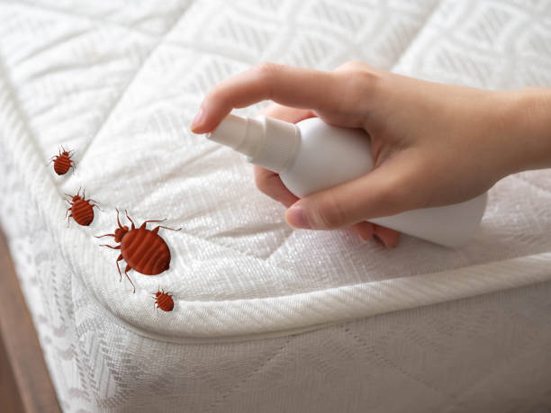 Best Pest Removal Services  in Cataula, GA