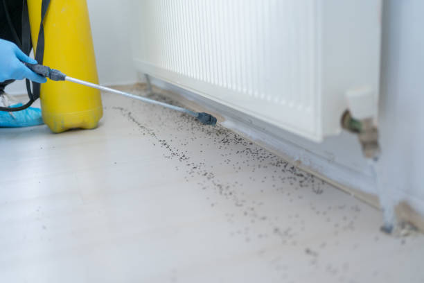 Best Residential Pest Control  in Cataula, GA