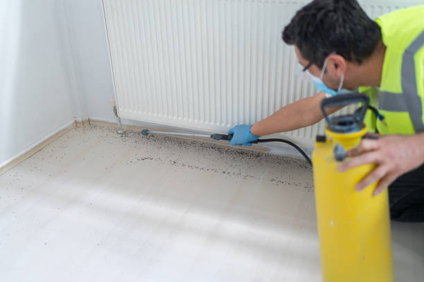 Best Affordable Pest Control Services  in Cataula, GA