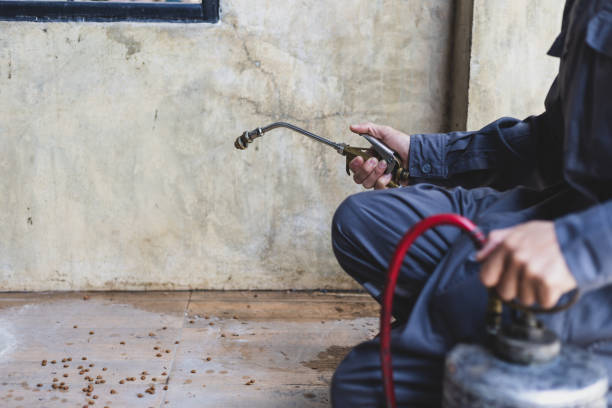 Best Emergency Pest Control  in Cataula, GA